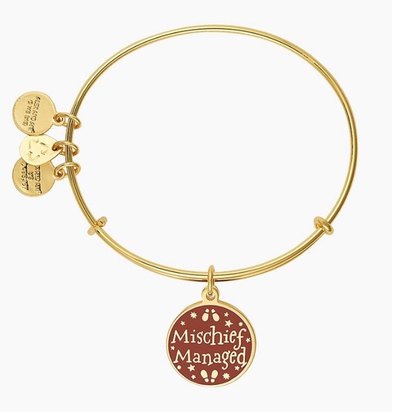 Alex & Ani Harry Potter Charm Bangle in Shiny Gold - Picture 2 of 3